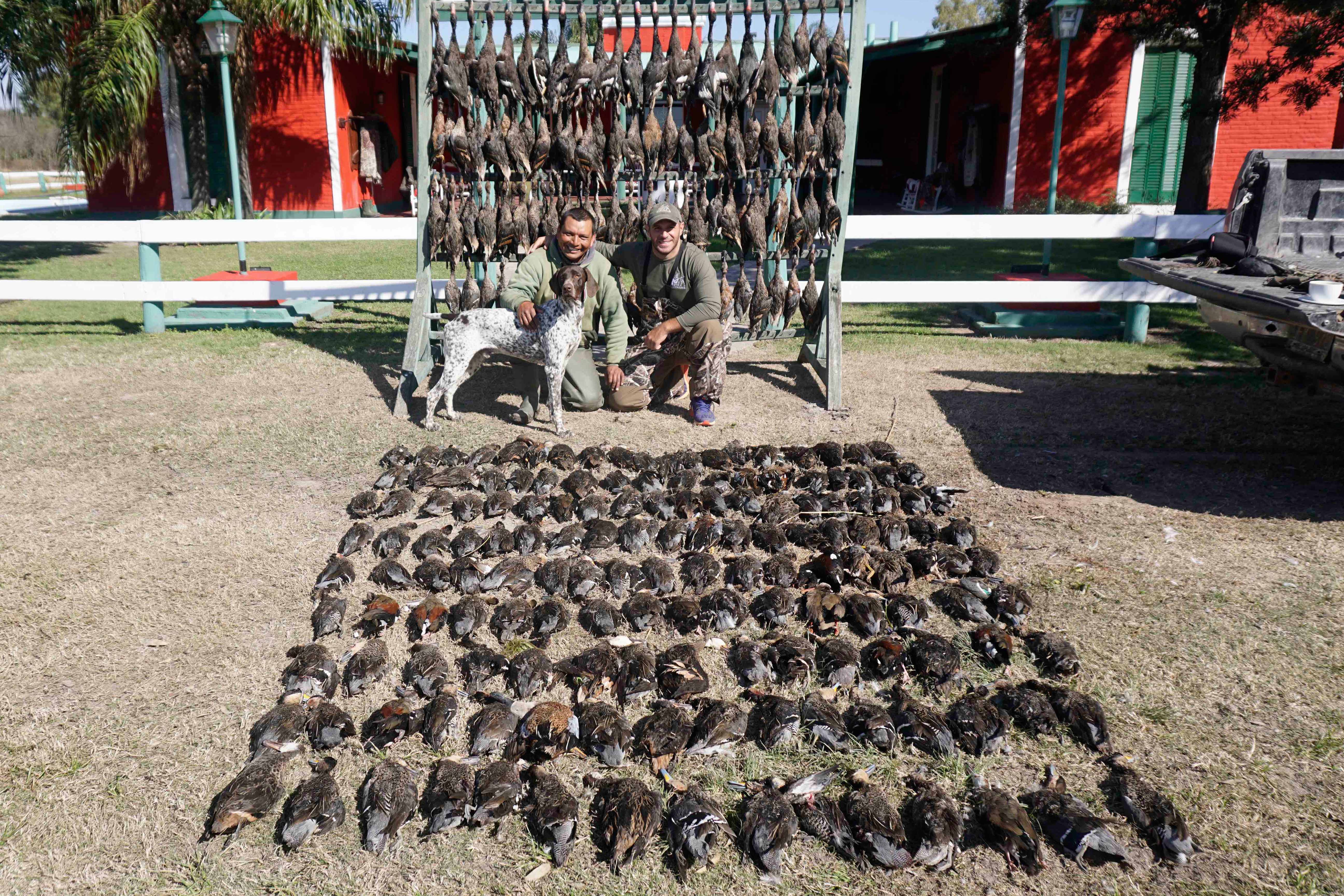 Duck Hunting in Argentina